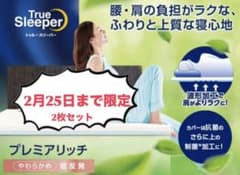 正規品・未開封・最上級シリーズ】トゥルースリーパー プレミアリッチ