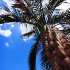 まーみ様専用 取り置き中のサムネイル