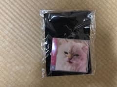 My Hair is Bad cats CDのサムネイル