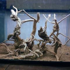 ※枝流木まとめ売り②※のサムネイル