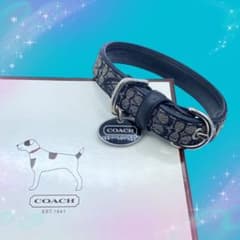 新品　未使用　COACH 犬　リード　シグネチャー　　М　S　小型犬　中型犬 希少 美品》 コーチ ミニシグネチャー ドッグリード Sサイズ - メルカリ
