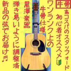 Stafford & Go SE-500 スタッフォード エレアコ | Shop at Mercari