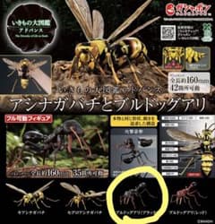 いきもの大図鑑アドバンス アシナガバチとブルドッグアリ ブルドッグ