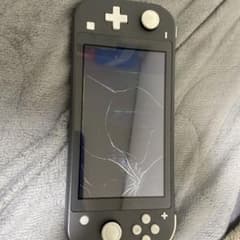 Nintendo Switch Lite グレー 画面ひび割れのサムネイル