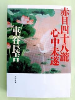 【美品お値引きあり】赤目四十八瀧心中未遂　車谷長吉　文庫本のサムネイル