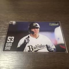 ☆宜保 翔 選手（オリックスバファローズ）本人使用　レッグガード&エルボーガード オリックス・バファローズ 宜保翔選手 アクリルカード コロチャレ C賞