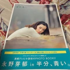 「永野芽郁in半分、青い。」PHOTO BOOKのサムネイル