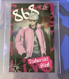 ストグラ GRPL 2026 轟ばーど ノーマル チェキ風カード① - メルカリ