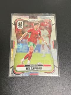 RC Panini Prizm Neil El Aynaoui /61のサムネイル