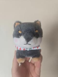 豆しば三兄弟　しば犬　新品　ぬいぐるみのサムネイル