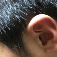 ぬいぐるみのサムネイル