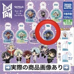 TinyTan BTS ぴた！でふぉめ ウォータードームコレクション ジョングク