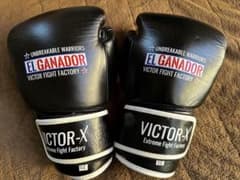 EL GANADOR VICTOR-X ボクシンググローブ ブラック 10オンス - メルカリ