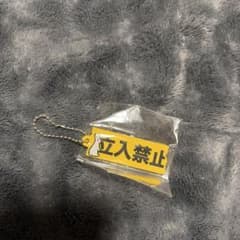 FR2 立入禁止 うさぎ ミニチュアチャームのサムネイル