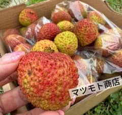 クール便‼️箱込み1kg 新鮮 生ライチ 香りが強いみずみずしい 妃子笑