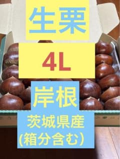 生栗 4L「岸根 」茨城県産 1.2kg (箱分含む)のサムネイル