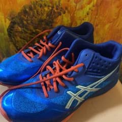バレーボールシューズ26cmのサムネイル