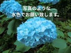 ご確認用‼️ - メルカリ