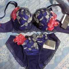 ワコールサルートセット ブラジャー＆ショーツ 新品 F70 ＆ M - メルカリ