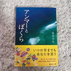 アンマーとぼくらのサムネイル