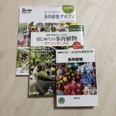 多肉植物 サボテン 育て方 本 3冊セットのサムネイル