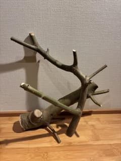 止まり木　オリーブ　オーガニックのサムネイル