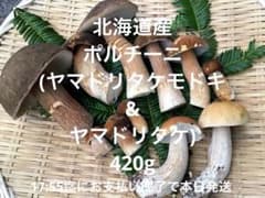 北海道産　ポルチーニ(ヤマドリタケ) 935g 天然きのこ 北海道産 ポルチーニ(ヤマドリタケ) 1040g 天然きのこ - メルカリ