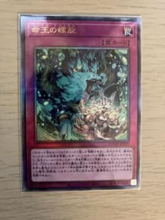 命王の螺旋　レリーフのサムネイル