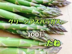 アスパラガス 種 100粒のサムネイル