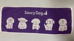 SaucyDog わんこいろいろタオルのサムネイル
