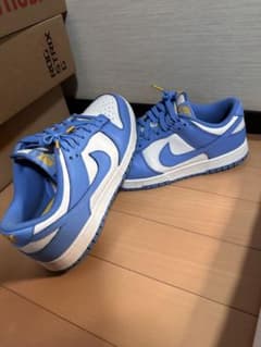 Nike WMNS Dunk Low "Coast" ナイキ ダンクのサムネイル