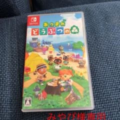 あつまれ どうぶつの森のサムネイル