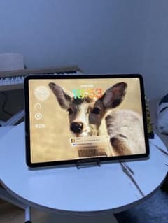 iPad pro11インチ ジャンク品｜画面割れ・バッテリー劣化あり｜動作OK