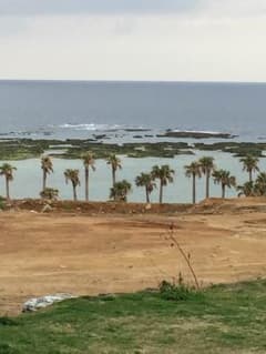 北沢慎弥様専用のサムネイル