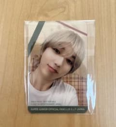 SUPER JUNIOR イェソン トレカ 入会特典 - メルカリ