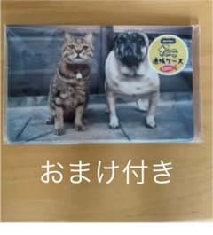 おまけ付き　新品未使用品　通帳ケース　犬猫ちゃんのサムネイル