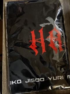 【即日発送】新品未開封、HANA 直前デビュー前 ロゴフェイスタオル 即日発送】新品未開封、HANA 直前デビュー前 ロゴフェイスタオル #HANA