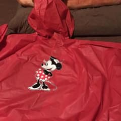 レインコート♡ディズニーのサムネイル