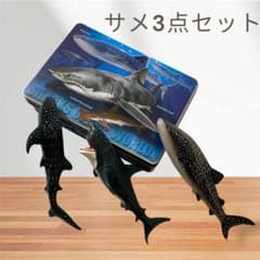 サメ フィギュア 3点セット SHARKS OF THE WORLD サメ フィギュア 3点セット SHARKS OF THE WORLD - メルカリ