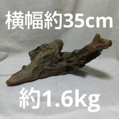 天然流木のサムネイル