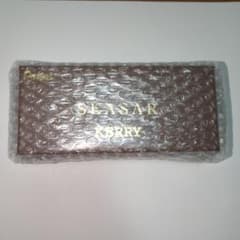 【新品】ぺんてる KERRY SEASAR 限定 シャープペンシルのサムネイル