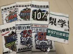 甲子園タオル　甲子園グッズ　フェイスタオル 記念高校名入りタオルのサムネイル
