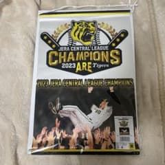 m34330874516_1.jpg?1702034213