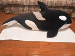 m34331702355_1.jpg?1762773597