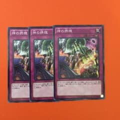 遊戯王 神の摂理 3枚セットのサムネイル