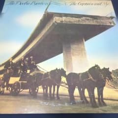 LP レコード The Doobie Brothers キャプテン・アンド・ミーのサムネイル