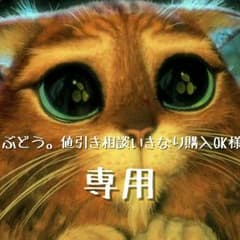 ぶどう。値引き相談いきなり購入OK様 専用のサムネイル