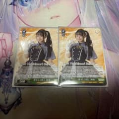 ヴァイス アサルトリリィ 凛々しく咲く 神琳 N2枚 - メルカリ