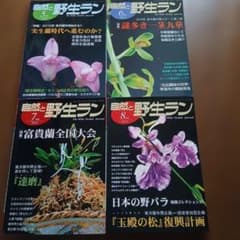 自然と野生ラン 2010年 5月号〜8月号 4冊セットのサムネイル