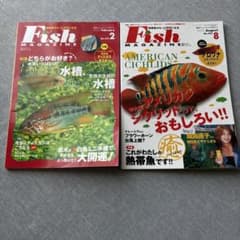 月刊フィッシュマガジン 2冊セット 2002年2月・8月号のサムネイル